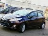 ����� Ford Fiesta: ������ ���������� - ���� 1